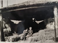 ein Bild aus dem Album